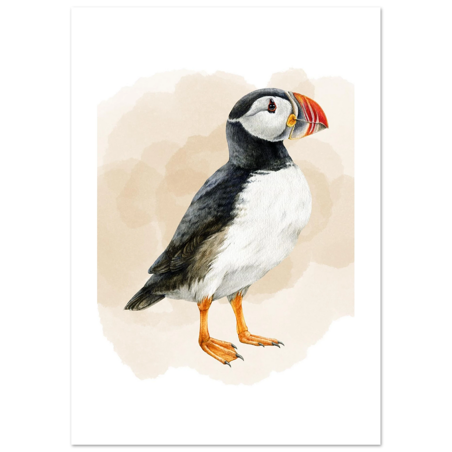 010b4526-be18-4fd0-8b46-afc6cc01728b