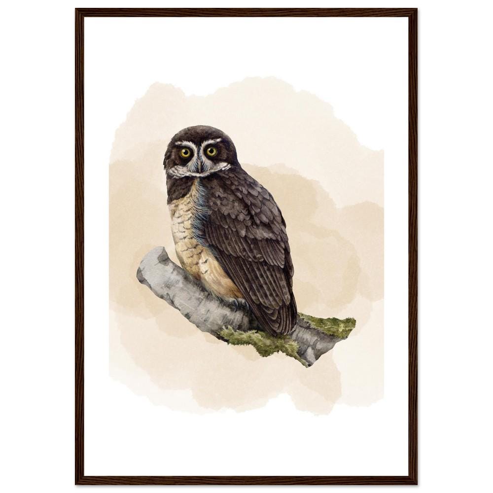 The Woodland Watcher