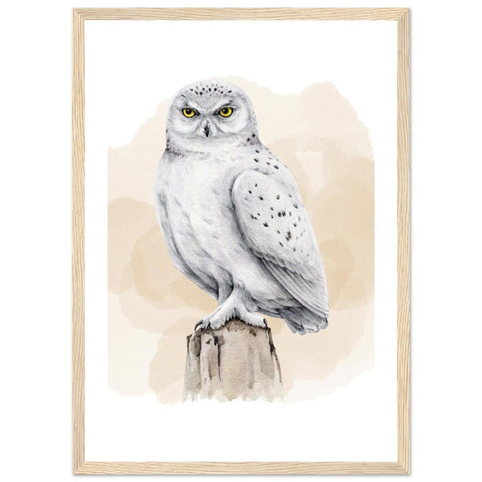 The Frost-Bound Snowy Owl