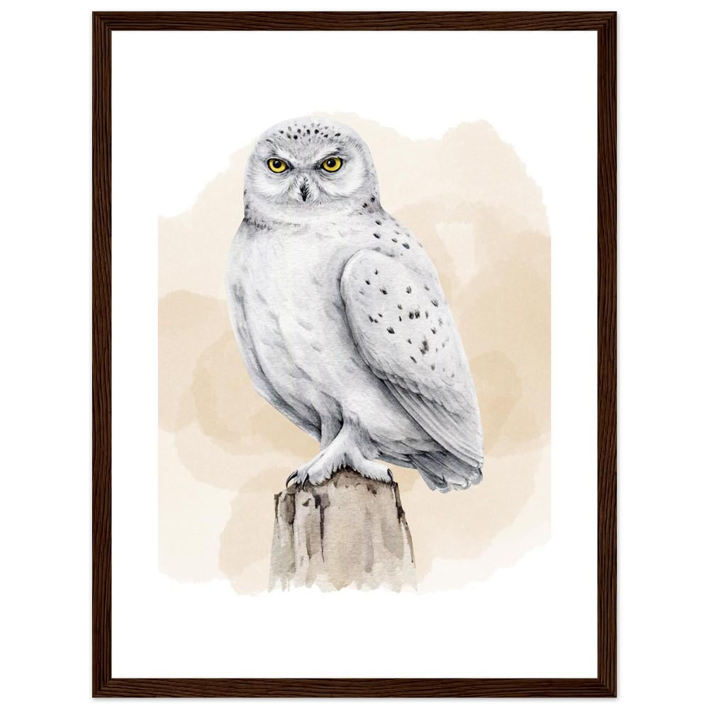 The Frost-Bound Snowy Owl