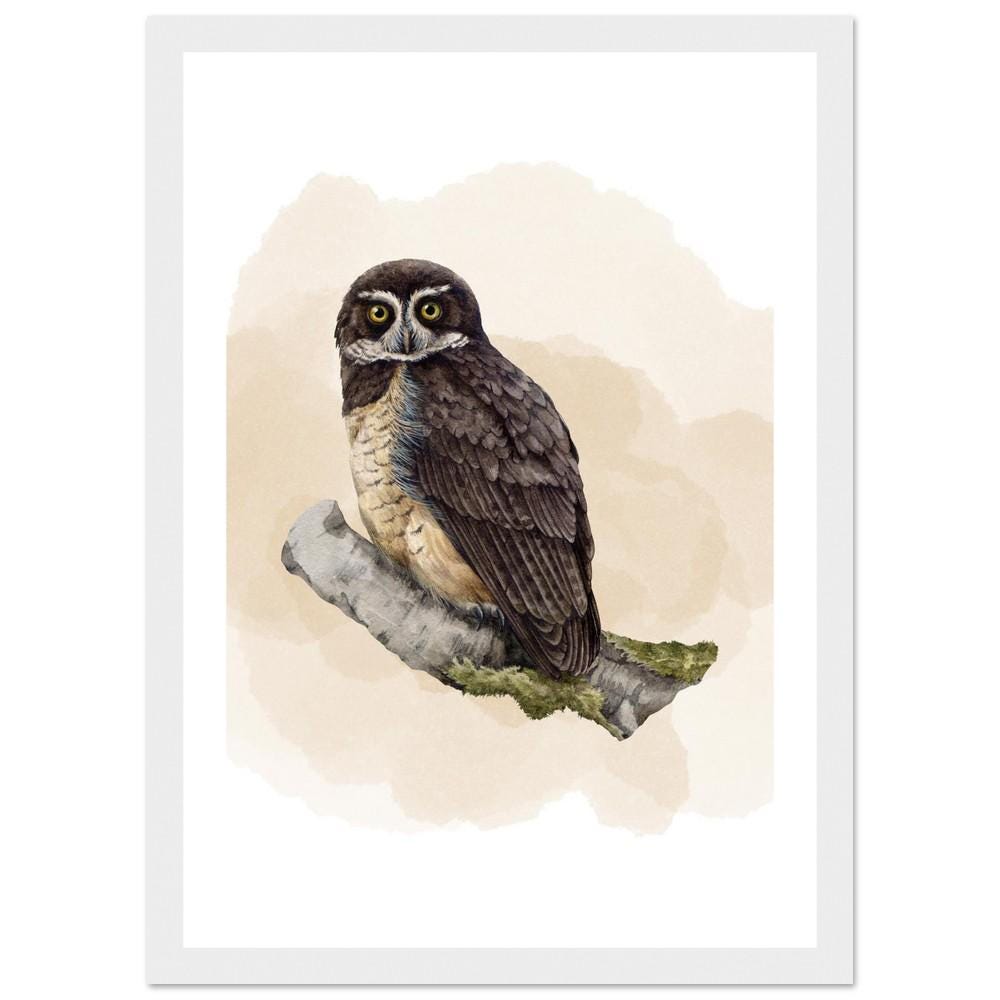 The Woodland Watcher