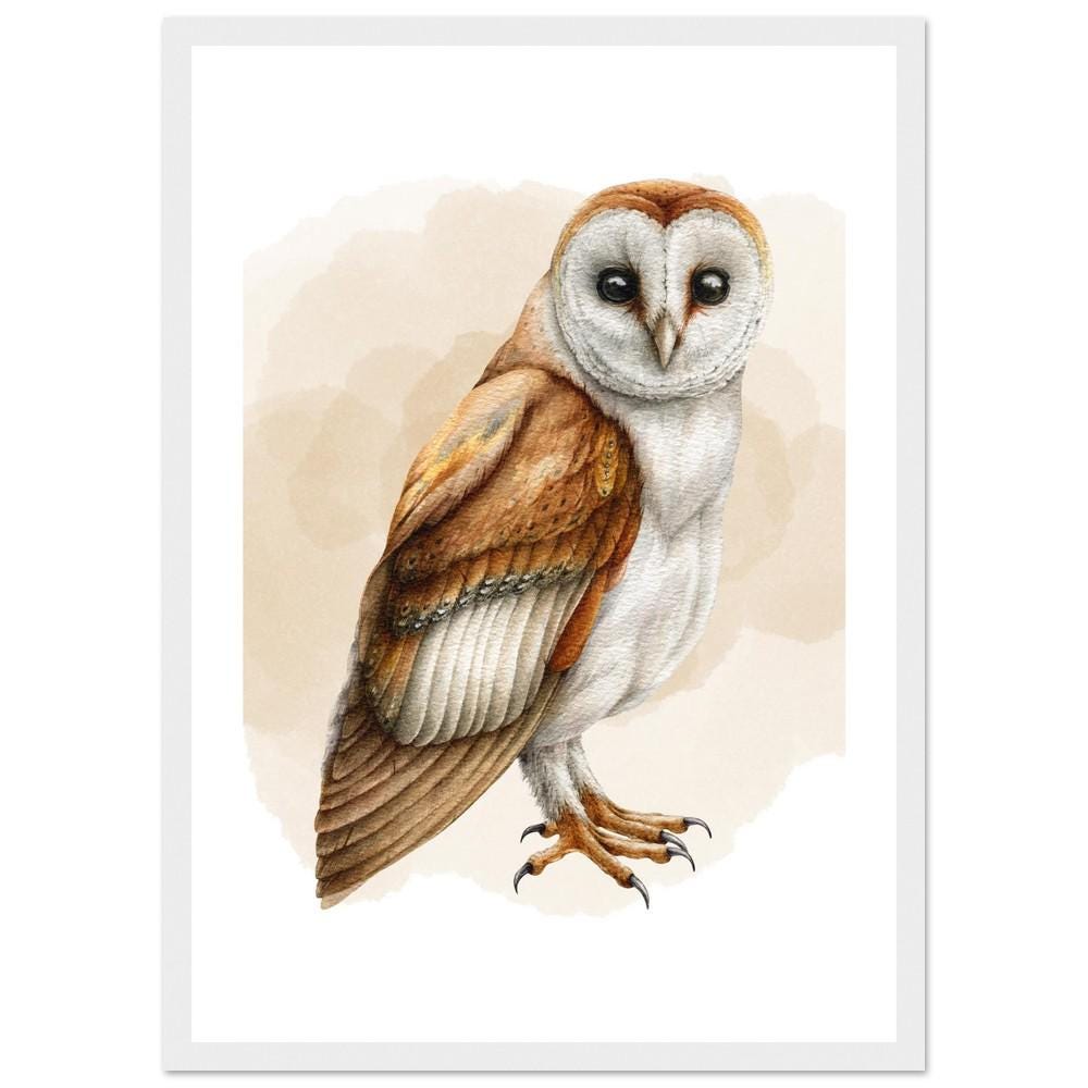 The Silent Barn Owl