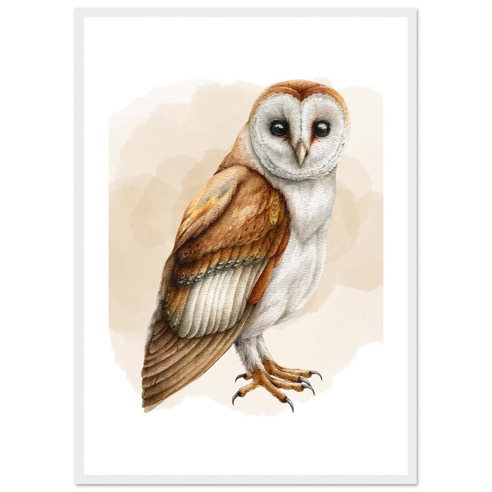 The Silent Barn Owl