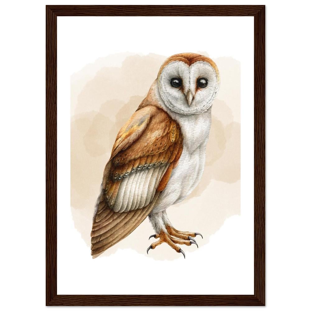 The Silent Barn Owl