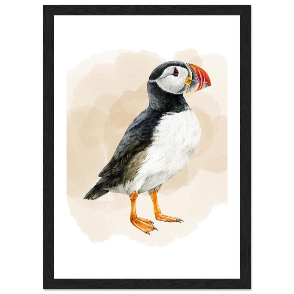 The Coastal Puffin