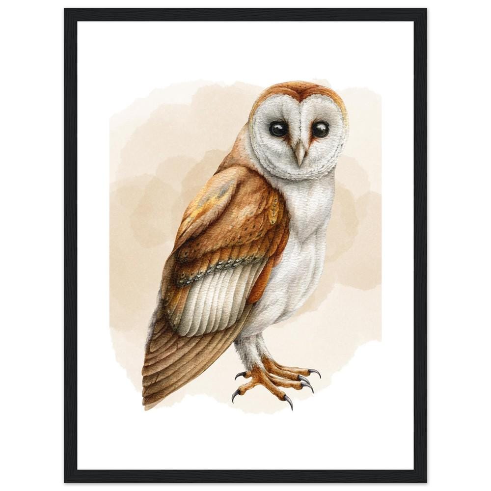 The Silent Barn Owl