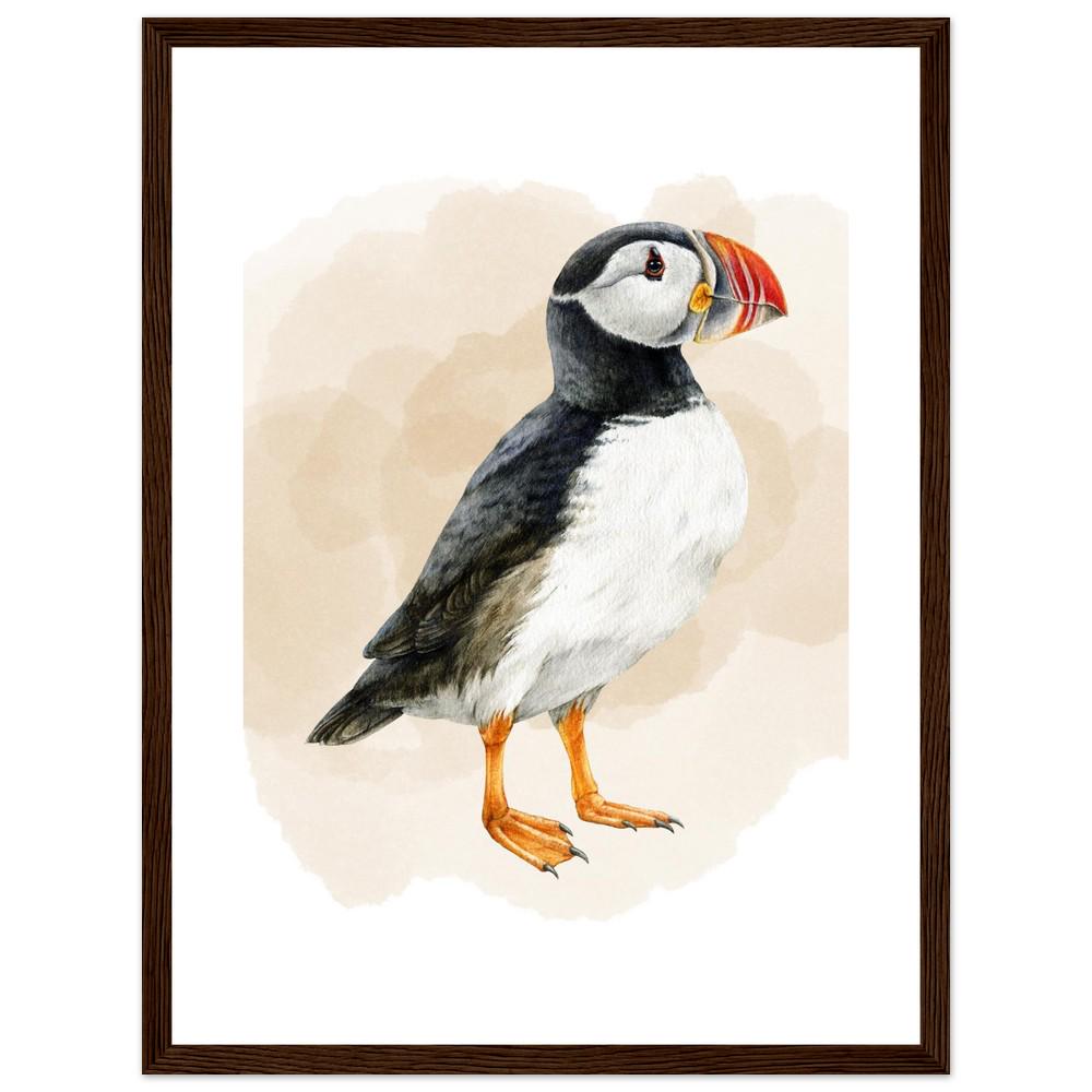 The Coastal Puffin