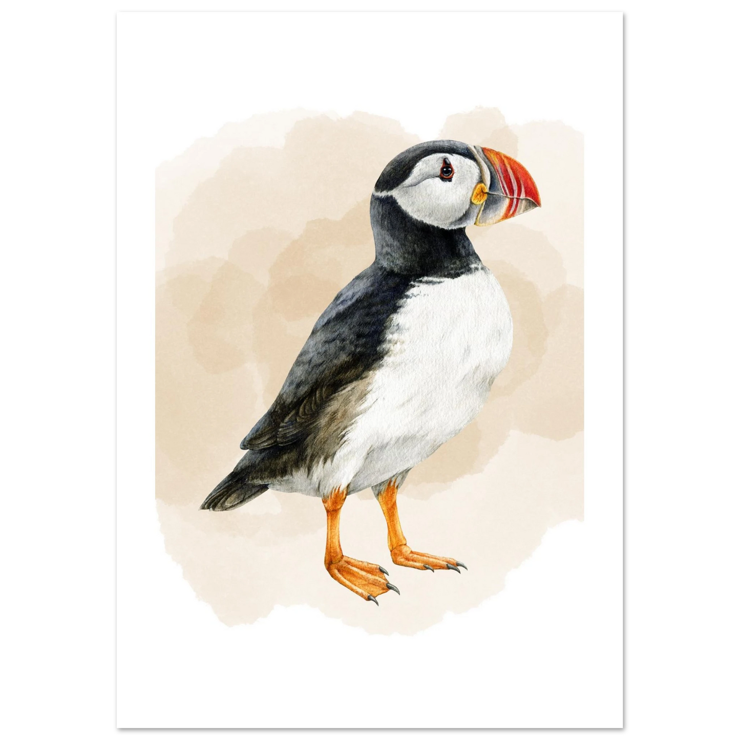 be3ca017-196f-4acc-86ed-a146525838aa