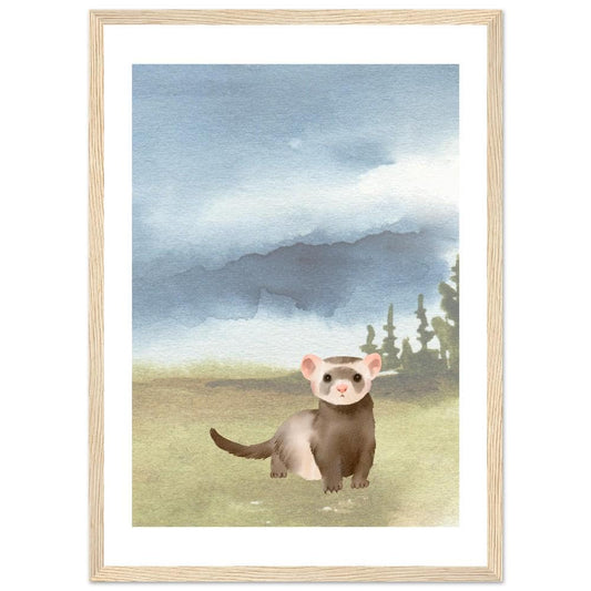 The Curious Ferret