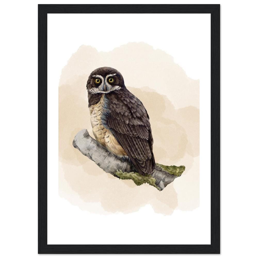 The Woodland Watcher