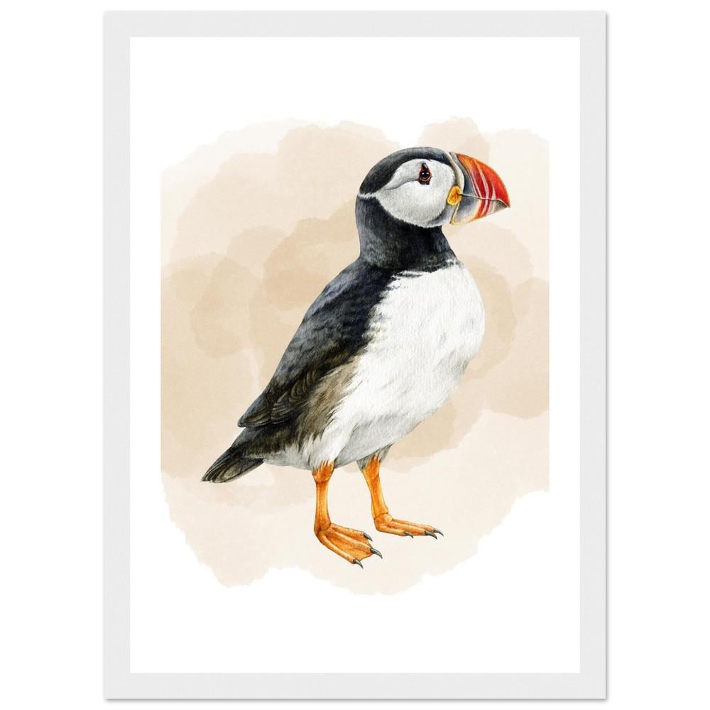 The Coastal Puffin