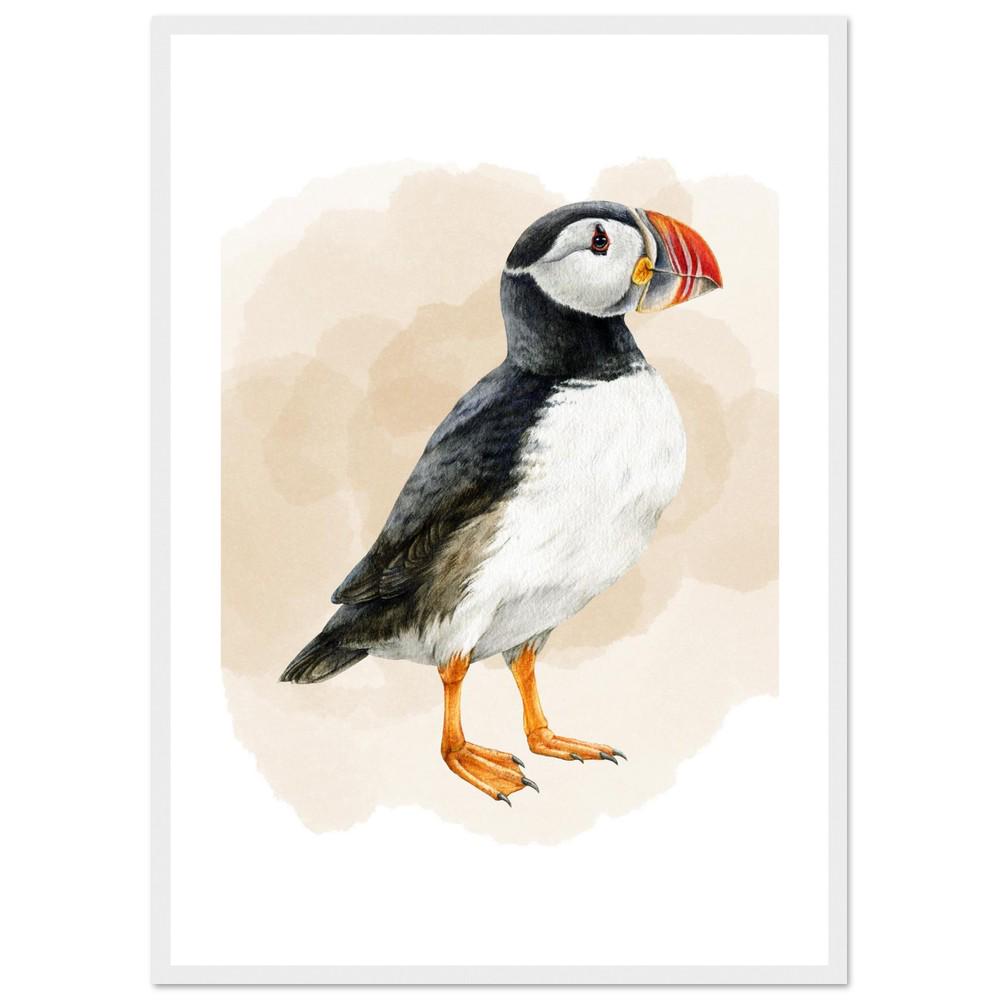The Coastal Puffin