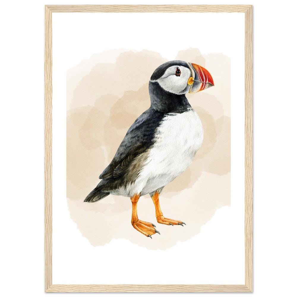 The Coastal Puffin
