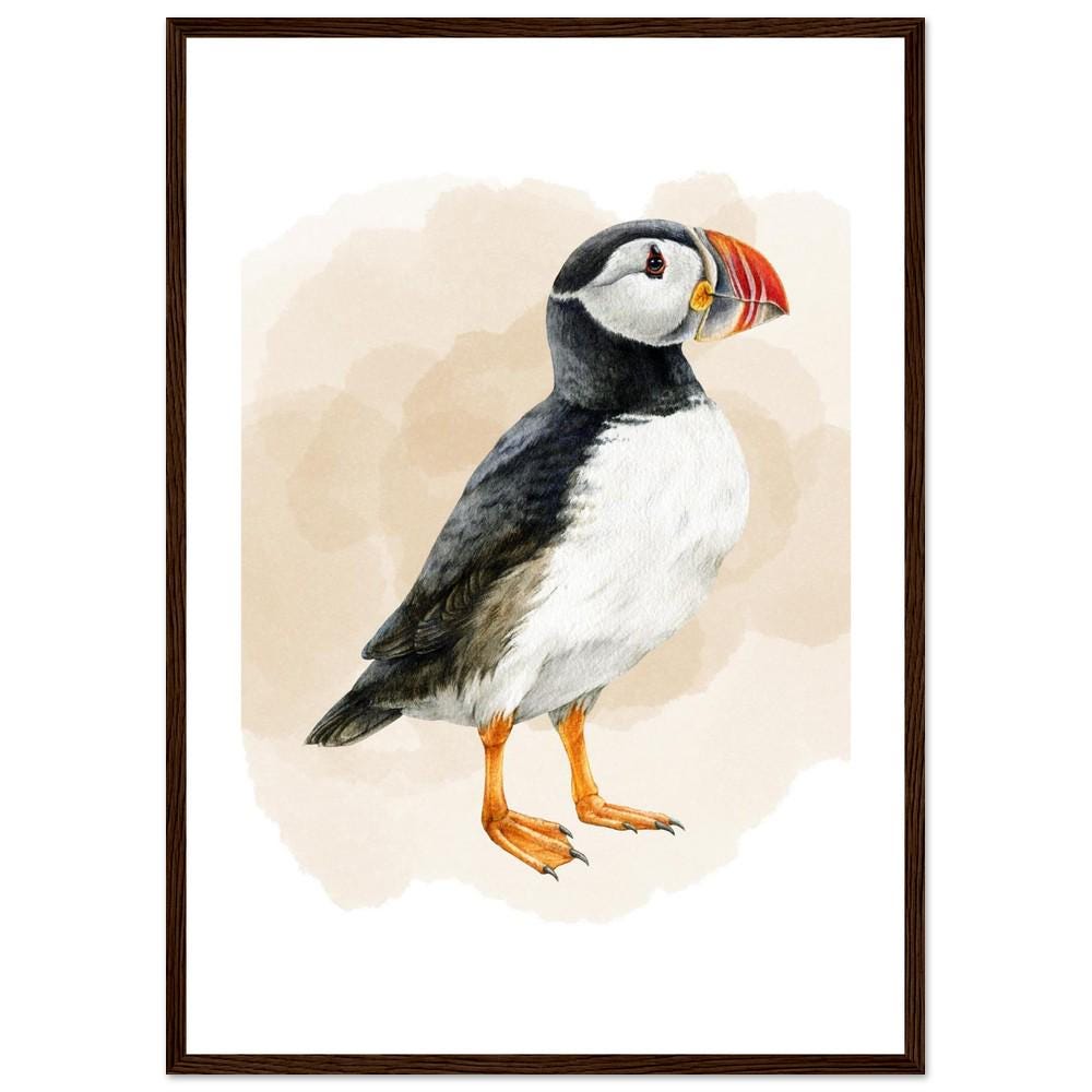 The Coastal Puffin